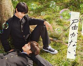 污动画在线海报剧照